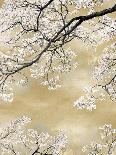 Gold Blossom Tree, 2024-David Moore-Framed Stretched Canvas