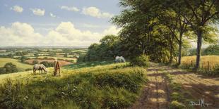 Tranquil Pasture-David Morgan-Stretched Canvas