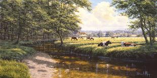 Peaceful Pasture-David Morgan-Stretched Canvas