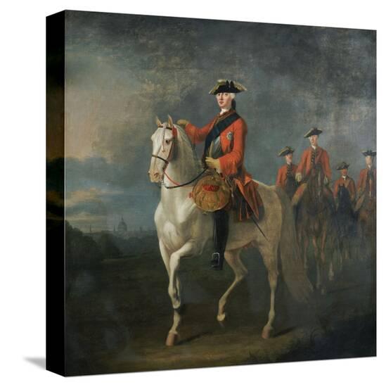 Stretched Canvas Print, , large