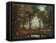 Framed Canvas