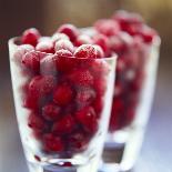 Cranberries-David Munns-Premium Photographic Print