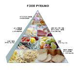 Food Pyramid-David Munns-Premium Photographic Print