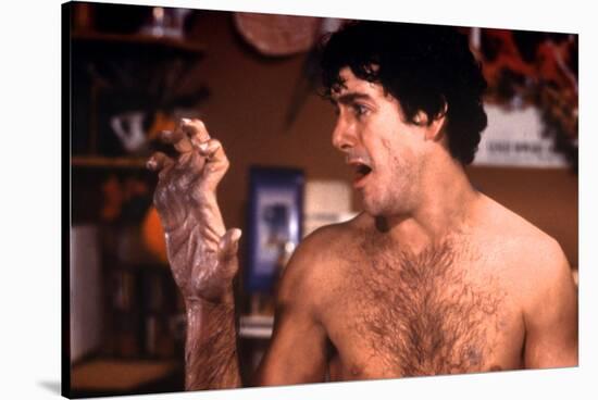 David Naughton dans Le Loup Garou by Londres (An american werewolf in London) by JohnLandis, 1981 (-null-Stretched Canvas