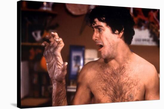 David Naughton dans Le Loup Garou by Londres (An american werewolf in London) by JohnLandis, 1981 (-null-Stretched Canvas