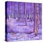 Stretched Canvas