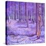 Stretched Canvas
