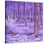 Stretched Canvas