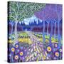 Stretched Canvas