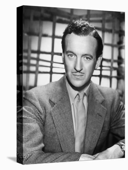 David Niven, 1946-null-Stretched Canvas