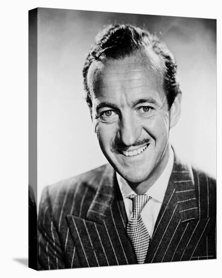 David Niven-null-Stretched Canvas