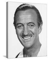 David Niven-null-Stretched Canvas