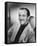 David Niven-null-Framed Stretched Canvas