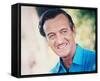 David Niven-null-Framed Stretched Canvas