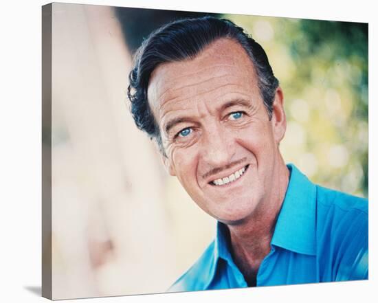 David Niven-null-Stretched Canvas