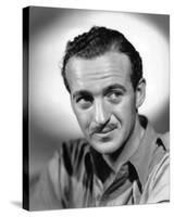 David Niven-null-Stretched Canvas