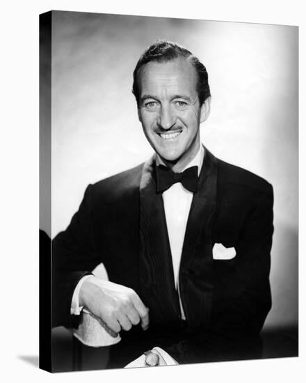 David Niven-null-Stretched Canvas