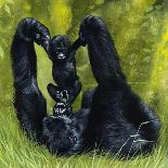 Gorilla Playing with Baby-David Nockels-Framed Giclee Print