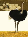 Ostrich-David Nockels-Laminated Giclee Print