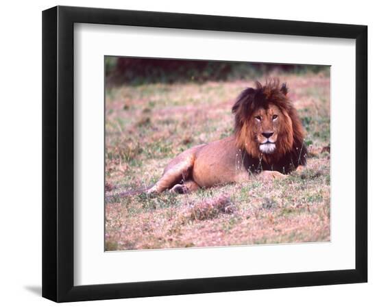 Premium Photographic Print, , large