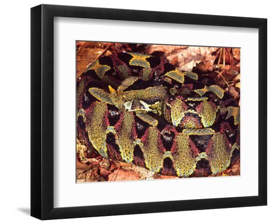 Premium Photographic Print, , large