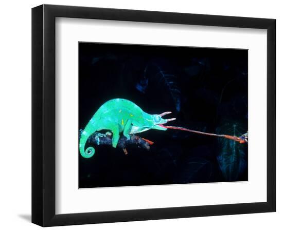 Premium Photographic Print, , large