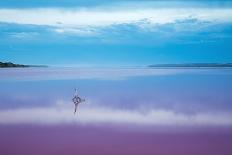 Pink lagoon at Port Gregory, Western Australia-David Noton-Photographic Print