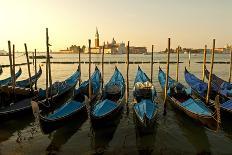 Tourist Ride in Gondolas on the Grand Canal in Venice, Italy-David Noyes-Photographic Print