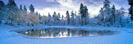 Premium Photographic Print, , large