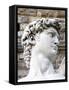 David of Michelangelo, Piazza Della Signoria, Florence, UNESCO World Heritage Site, Tuscany, Italy-Nico Tondini-Framed Stretched Canvas