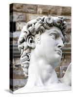 David of Michelangelo, Piazza Della Signoria, Florence, UNESCO World Heritage Site, Tuscany, Italy-Nico Tondini-Stretched Canvas