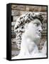 David of Michelangelo, Piazza Della Signoria, Florence, UNESCO World Heritage Site, Tuscany, Italy-Nico Tondini-Framed Stretched Canvas