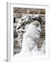 David of Michelangelo, Piazza Della Signoria, Florence, UNESCO World Heritage Site, Tuscany, Italy-Nico Tondini-Framed Premium Photographic Print