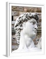 David of Michelangelo, Piazza Della Signoria, Florence, UNESCO World Heritage Site, Tuscany, Italy-Nico Tondini-Framed Premium Photographic Print