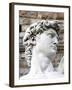 David of Michelangelo, Piazza Della Signoria, Florence, UNESCO World Heritage Site, Tuscany, Italy-Nico Tondini-Framed Premium Photographic Print