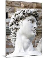 David of Michelangelo, Piazza Della Signoria, Florence, UNESCO World Heritage Site, Tuscany, Italy-Nico Tondini-Mounted Premium Photographic Print