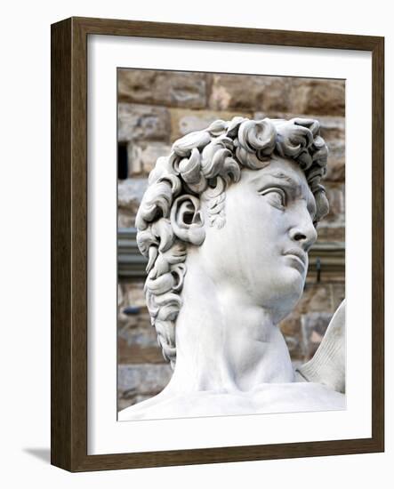David of Michelangelo, Piazza Della Signoria, Florence, UNESCO World Heritage Site, Tuscany, Italy-Nico Tondini-Framed Photographic Print