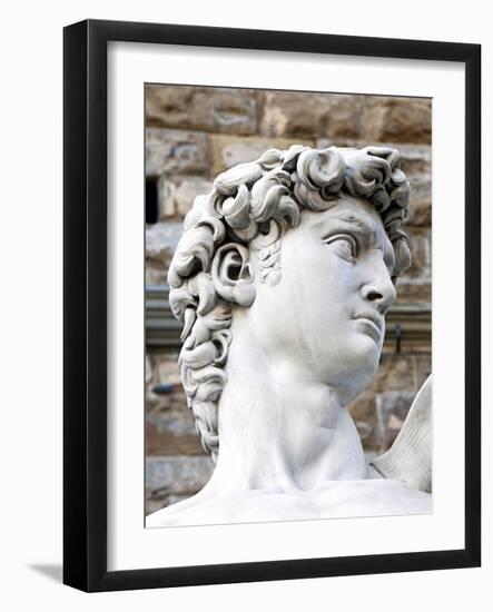 David of Michelangelo, Piazza Della Signoria, Florence, UNESCO World Heritage Site, Tuscany, Italy-Nico Tondini-Framed Photographic Print