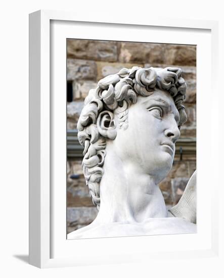 David of Michelangelo, Piazza Della Signoria, Florence, UNESCO World Heritage Site, Tuscany, Italy-Nico Tondini-Framed Photographic Print