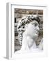 David of Michelangelo, Piazza Della Signoria, Florence, UNESCO World Heritage Site, Tuscany, Italy-Nico Tondini-Framed Photographic Print