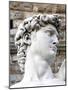 David of Michelangelo, Piazza Della Signoria, Florence, UNESCO World Heritage Site, Tuscany, Italy-Nico Tondini-Mounted Photographic Print