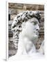 David of Michelangelo, Piazza Della Signoria, Florence, UNESCO World Heritage Site, Tuscany, Italy-Nico Tondini-Framed Photographic Print