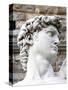 David of Michelangelo, Piazza Della Signoria, Florence, UNESCO World Heritage Site, Tuscany, Italy-Nico Tondini-Stretched Canvas
