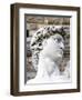 David of Michelangelo, Piazza Della Signoria, Florence, UNESCO World Heritage Site, Tuscany, Italy-Nico Tondini-Framed Photographic Print