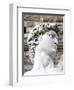 David of Michelangelo, Piazza Della Signoria, Florence, UNESCO World Heritage Site, Tuscany, Italy-Nico Tondini-Framed Photographic Print