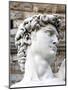 David of Michelangelo, Piazza Della Signoria, Florence, UNESCO World Heritage Site, Tuscany, Italy-Nico Tondini-Mounted Photographic Print