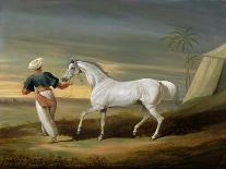 Elis' with J. Day Up: Winner of the St. Ledger, 1836 and 'Bay Middleton' with J. Robinson Up: the…-David Dalby of York-Stretched Canvas