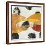 Brown Frame