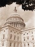 Branch Before U.S. Capitol-David Papazian-Framed Photographic Print