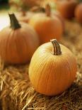 Pumpkins on Bale of Hay-David Papazian-Photographic Print